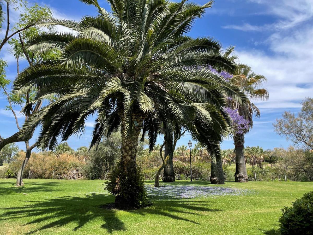 Golf, Kitesurf, Tennis, Paddle, Free Bicycles - Apartment Andalusia Isla Canela Exterior foto